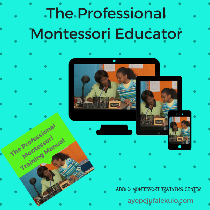 The Professional Montessori Educator